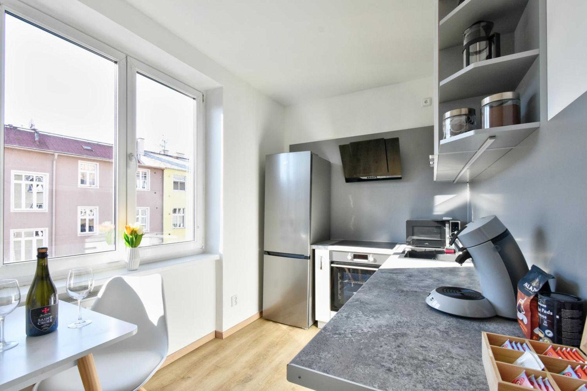 Point Apartment Karlovy Vary